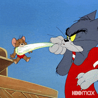 Chasing Tom And Jerry GIF by Max
