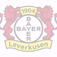 Bayer 04 Soccer GIF by Bayer 04 Leverkusen