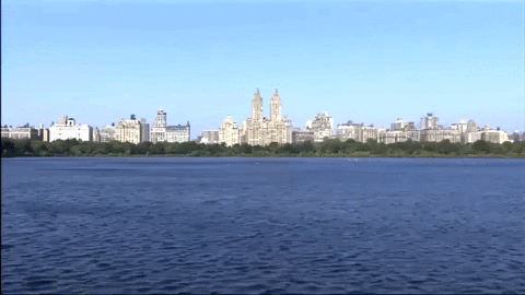 new york nyc GIF