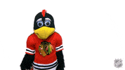Chicago Blackhawks No GIF by NHL