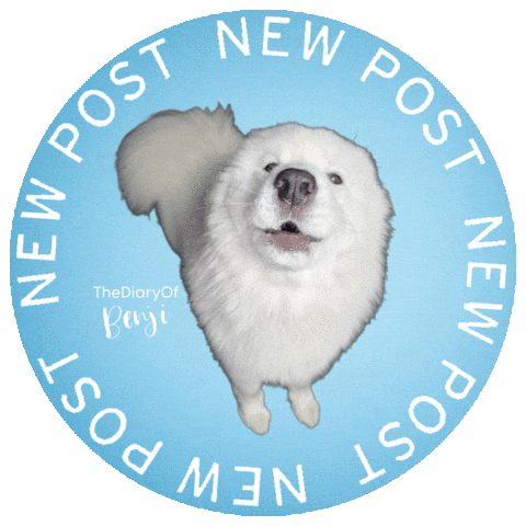 Benji Nieuw Sticker