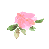 Marlo_Kids fashion flower star kids Sticker