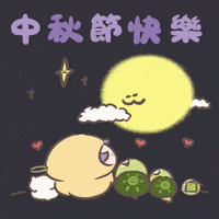 Hamster Turtle GIF