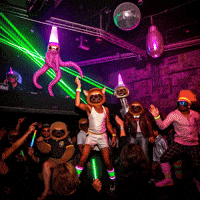 Mood Omg GIF by Sogni AI