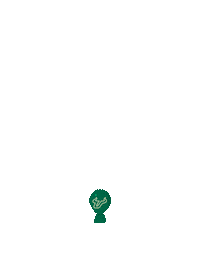 Back To School Usf Sticker by University of South Florida