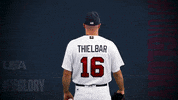 Pro GIF by USA Baseball