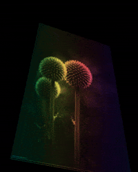 Happy Flower GIF by cam/b ® – the photo brothers