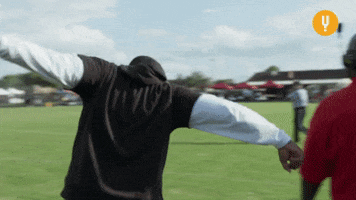 Excited High Kick GIF by CuriosityStream