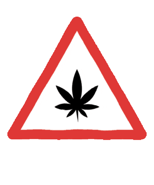 Thc Warning Sticker by commcan