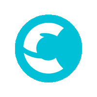 csacademybr imersao cs academy cs academy club cs favicon Sticker