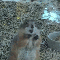 Whats Up Eating GIF by Respective