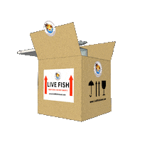 goldfishisland gfi gfiaaa livefish live fish Sticker