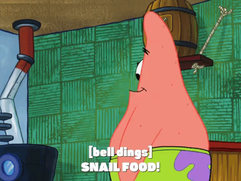 season 8 barnacle face GIF by SpongeBob SquarePants