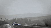 race rally GIF by Red Bull