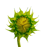 John Mayer Sticker by Columbia Records