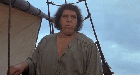that's not right andre the giant GIF
