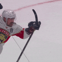 Hell Yeah Omg GIF by Florida Panthers