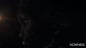 A Visual Exploration Of African Proverbs GIF by NOWNESS