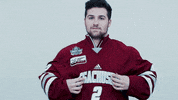 ncaasports hockey college ncaa ice GIF