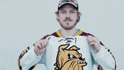 ncaasports hockey college ncaa ice GIF