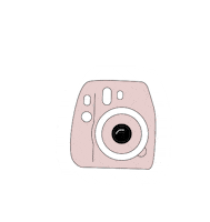 SundaeWyldBoutique fashion photo camera polaroid Sticker