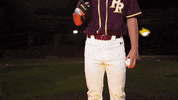 College Baseball GIF by Pearl River Athletics