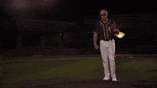 College Baseball GIF by Pearl River Athletics