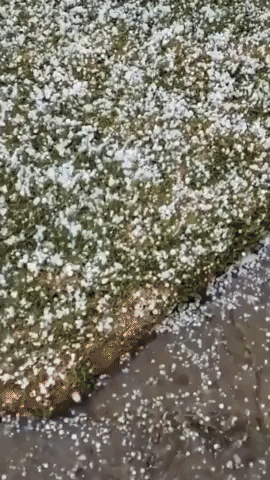 'Snow Day' in Long Beach After Hailstorm Hits