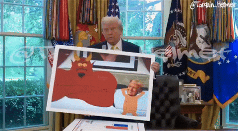 pedrojrmaldonado  GIF