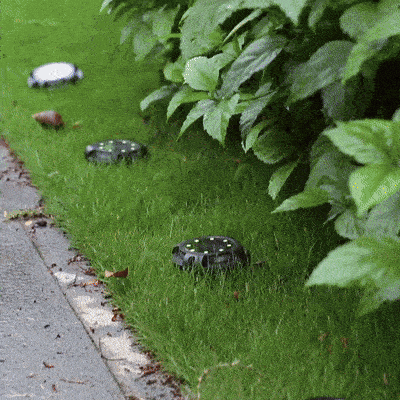 Soolaa giphyupload GIF