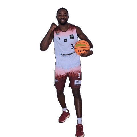 Basketball Winasone Sticker by Iserlohn Kangaroos