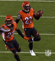 Celebrate Regular Season GIF by NFL