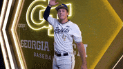 Georgia Tech Baseball GIF by Georgia Tech Yellow Jackets