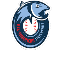 AllAmericanBaseball allamericanbaseball allamericansteelheads coachcharlie cspano Sticker