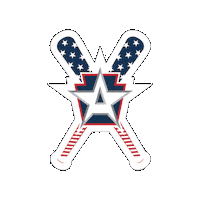 Pit Sticker by All American Baseball