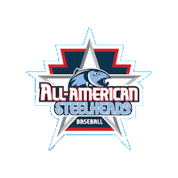 AllAmericanBaseball allamericanbaseball allamericansteelheads coachcharlie cspano Sticker