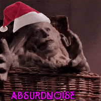 Basket Case Horror Movies GIF by absurdnoise