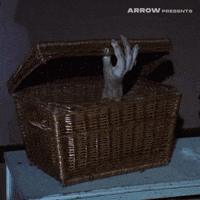 Basket Case Film GIF by Arrow Video