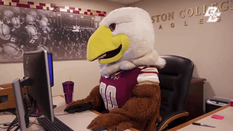 Ncaa Typing GIF by Boston College Athletics