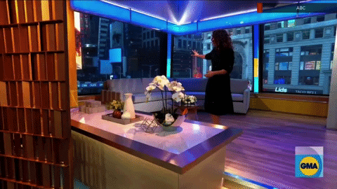 newscaststudio giphyupload GIF