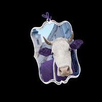 GIF by Milka Türkiye