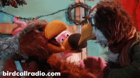BirdCallRadio love party kiss sexy GIF