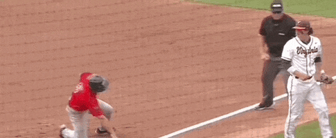 World Series Baseball GIF by NCAA Championships
