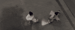 GIF by Crouching Tiger, Hidden Dragon 
