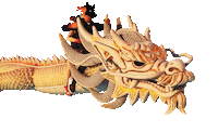 Algo Magico Sticker by Rauw Alejandro