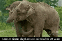 feel better GIF