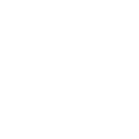 New Year Ano Novo Sticker