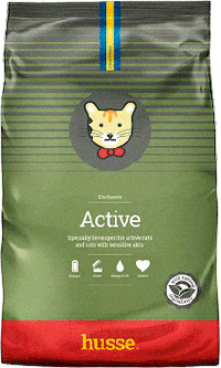 Cat Pet GIF by hussekyivlb