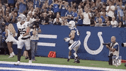 Regular Season Football GIF by NFL