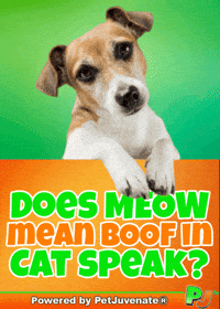 PetJuvenate petjuvenate henlo hooman fren love rescue dogs treatos and woofer for pupper GIF